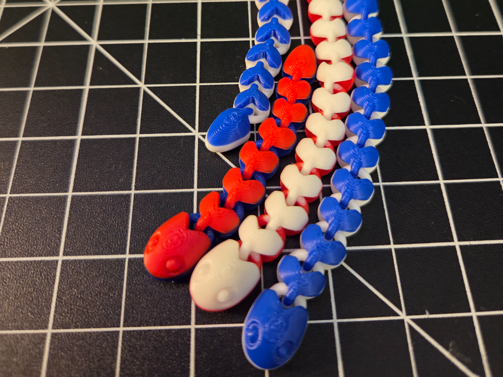 Multi Colored Snakes
