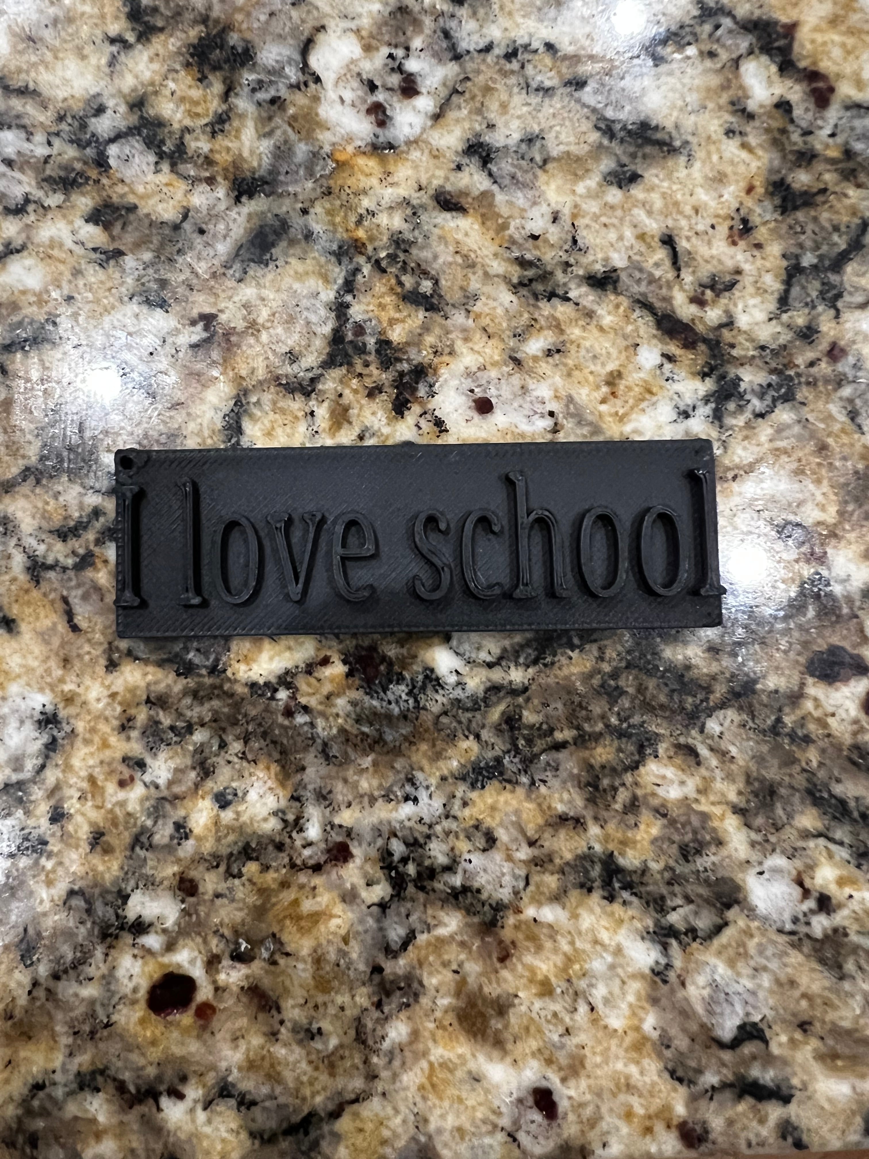 I love school tag