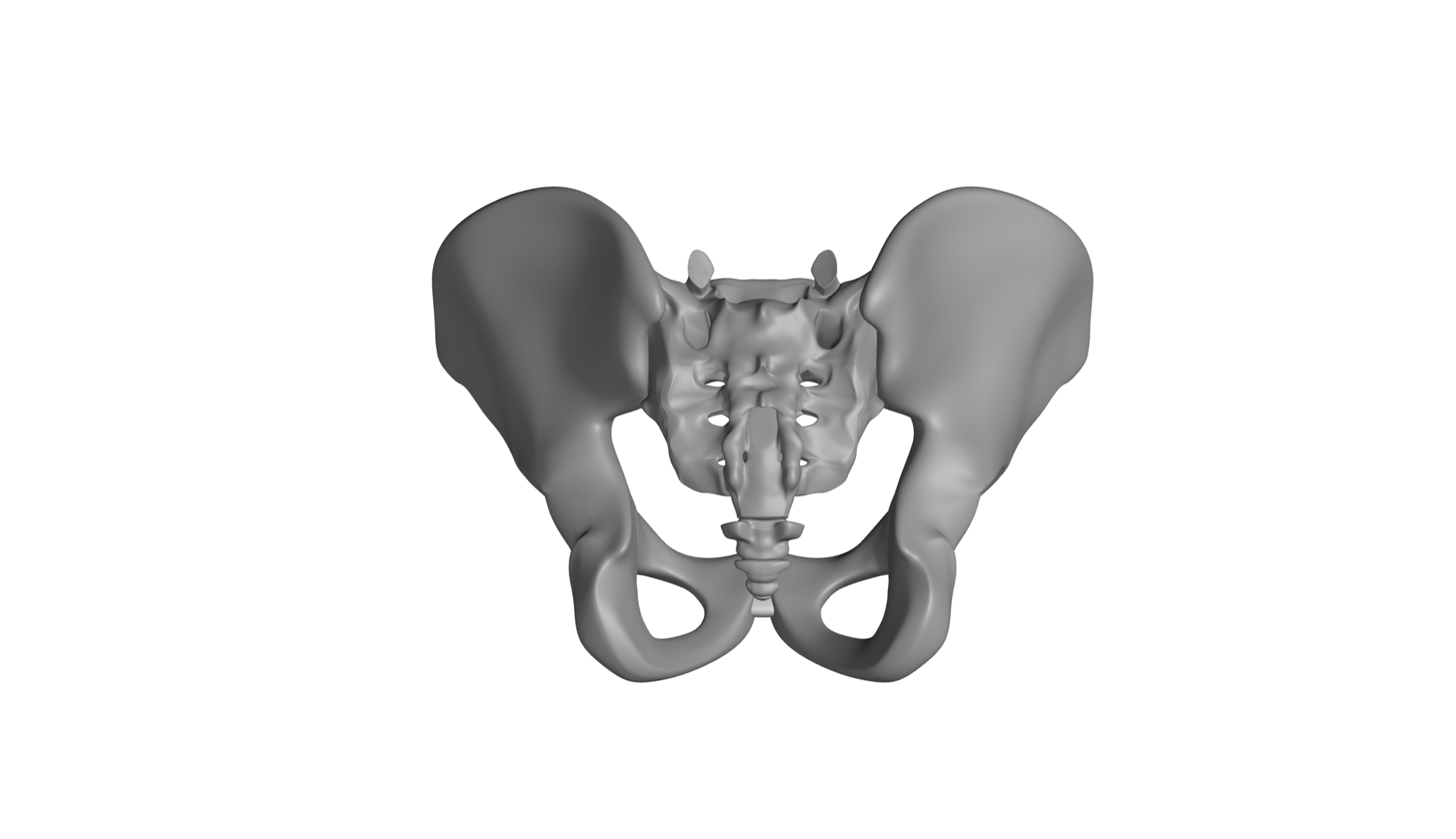 Pelvis