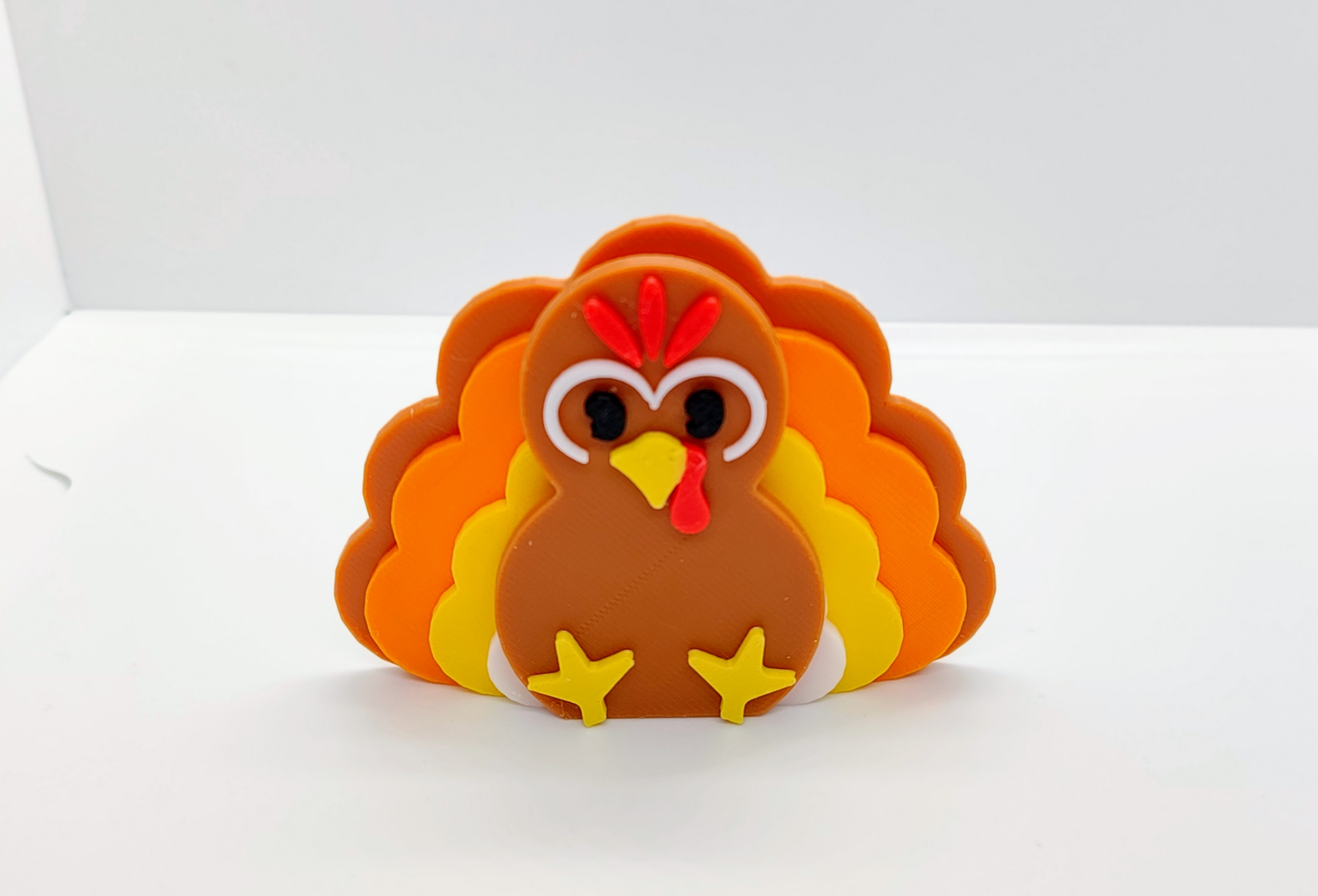 Thanksgiving Turkey
