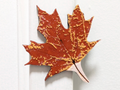 Red Maple Leaf - Fridge Magnet - 0.2mm nozzle