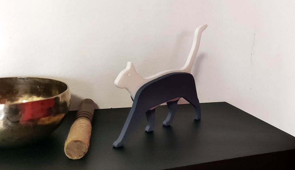 Cat - Gatto