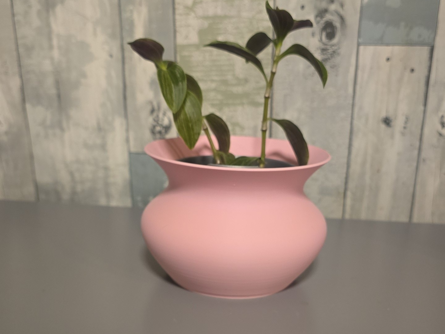 Cauldron Planter