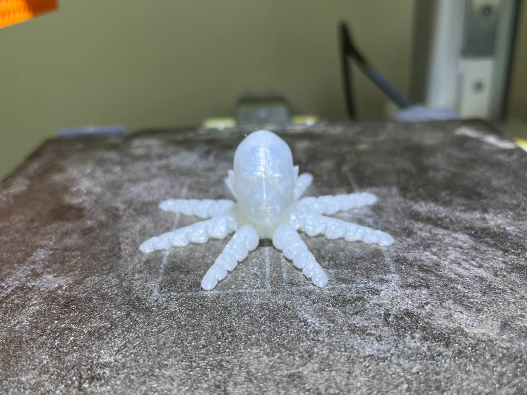 Roctopus