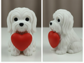 Maltese Holding Heart (Free Commercial Use)
