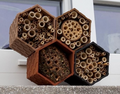 insect hotel