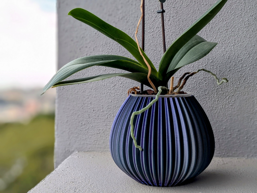 Vase_01