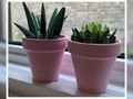 Terracotta-Style Mini Planter |No Supports Needed!