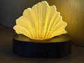 Fan Shell LED Lamp — Soft Warm Ambient Light