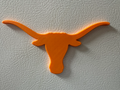 Texas Longhorns