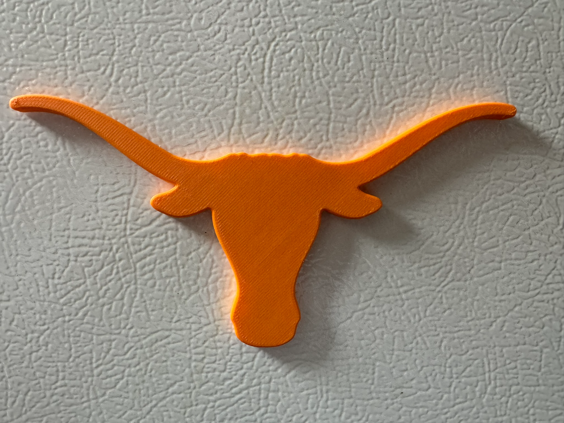 Texas Longhorns