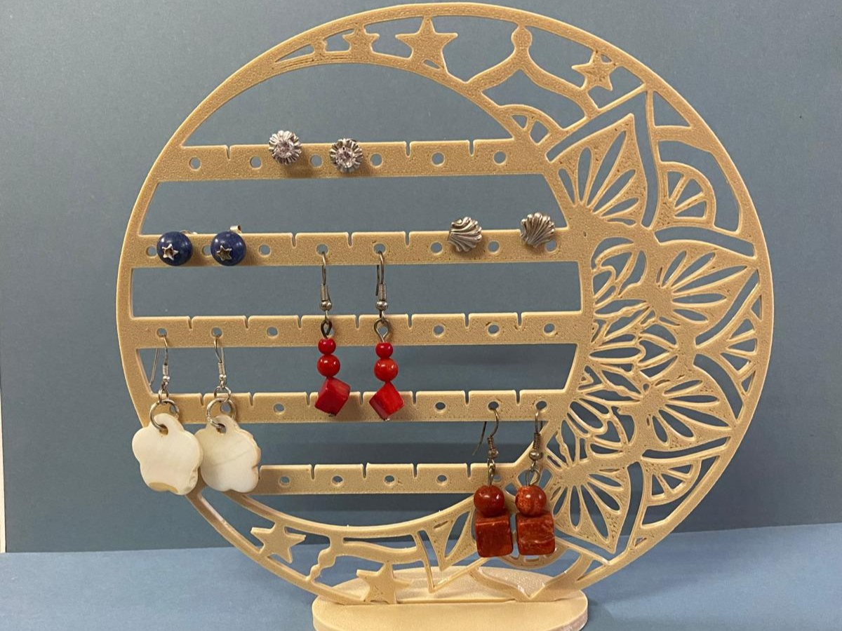 Earring organizer jewelry box