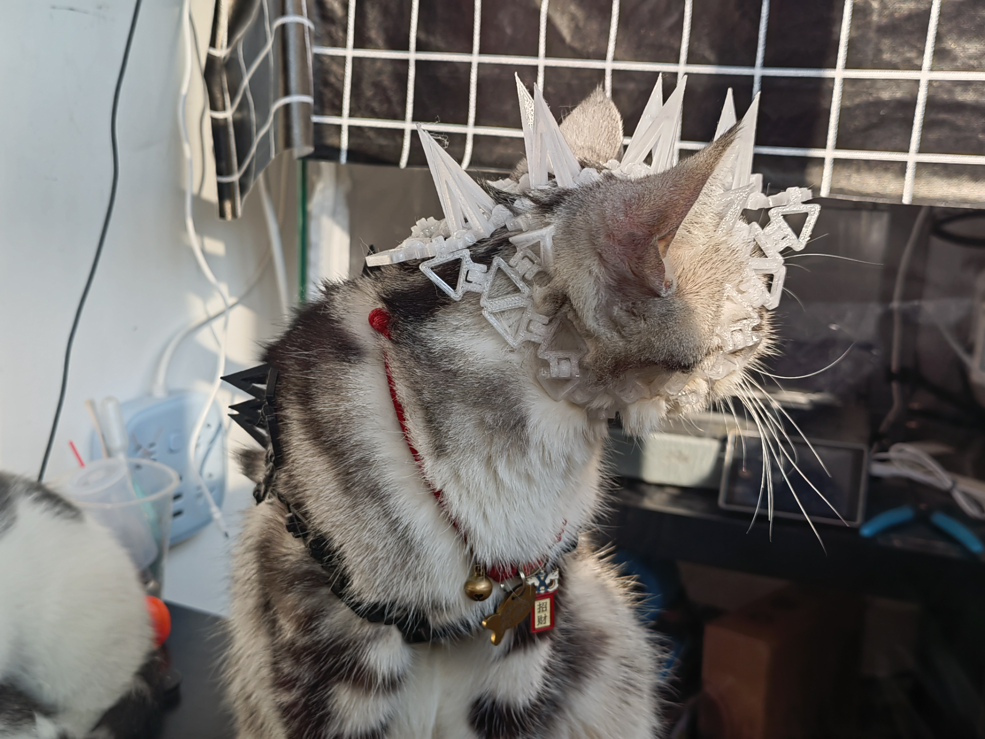 猫咪、小狗、宠物战斗铠甲、宠物衣服、 Pet Clothes