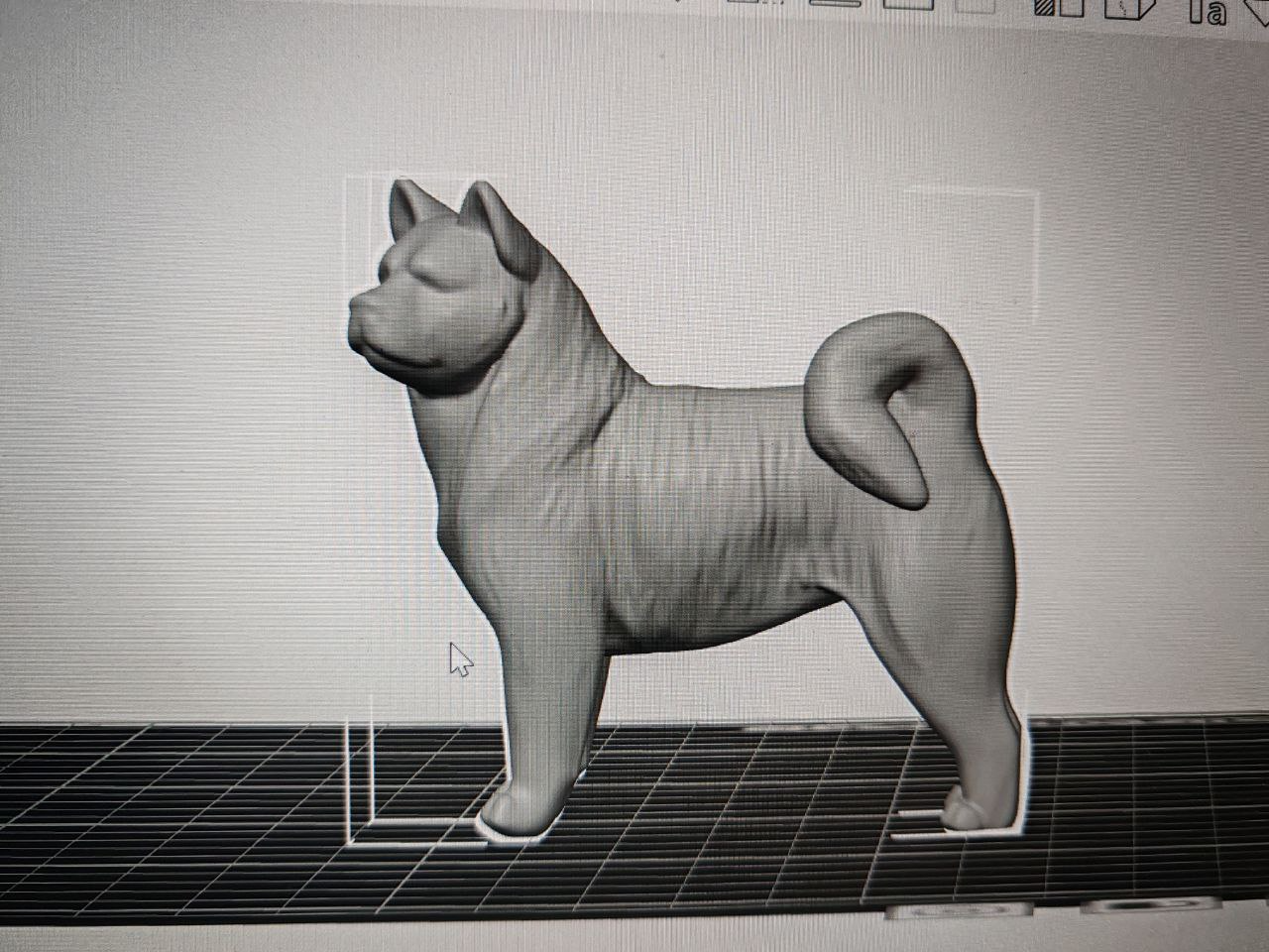 THE AMERICAN AKITA DOG