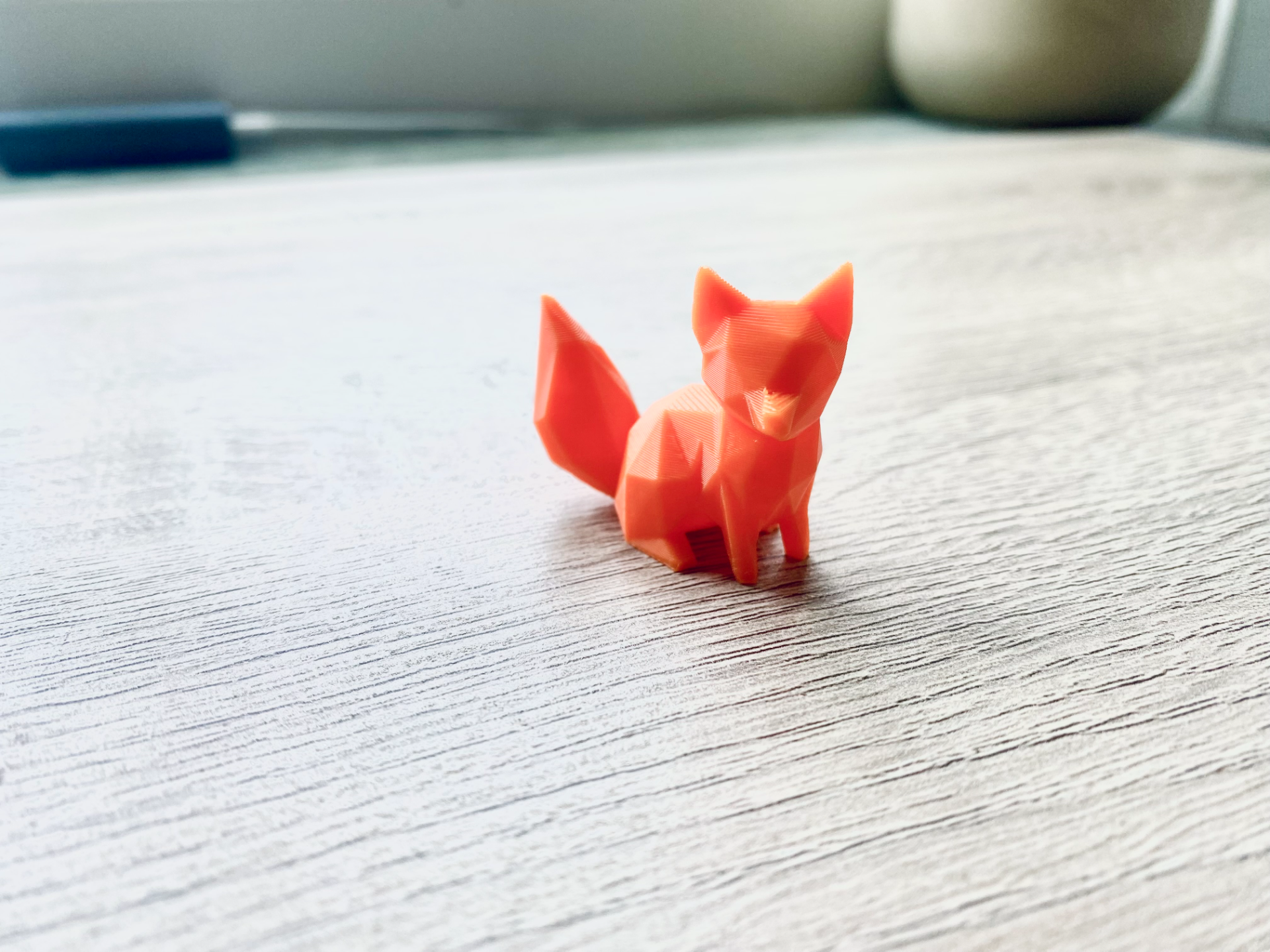 Cute Fox