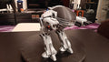 Enforcer Droid ED-209