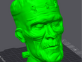 Green Franky head container