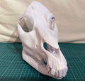 Monster Skull Mask