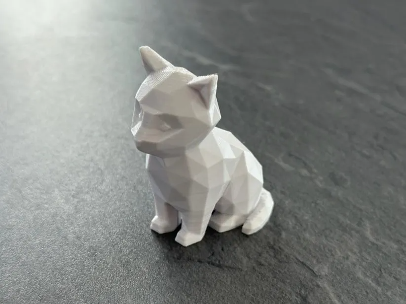 Poly cat
