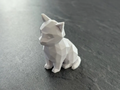 Poly cat