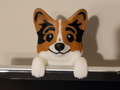 Logan - the Curious Corgi