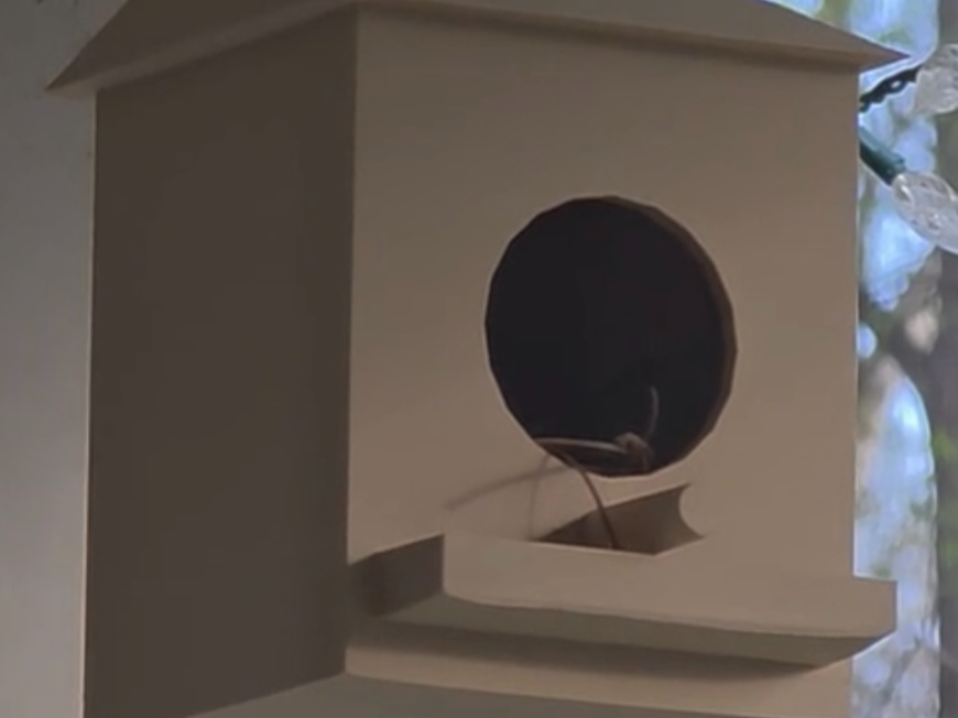 Bird House With Seed trough