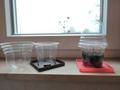 Tray fot seedling pots