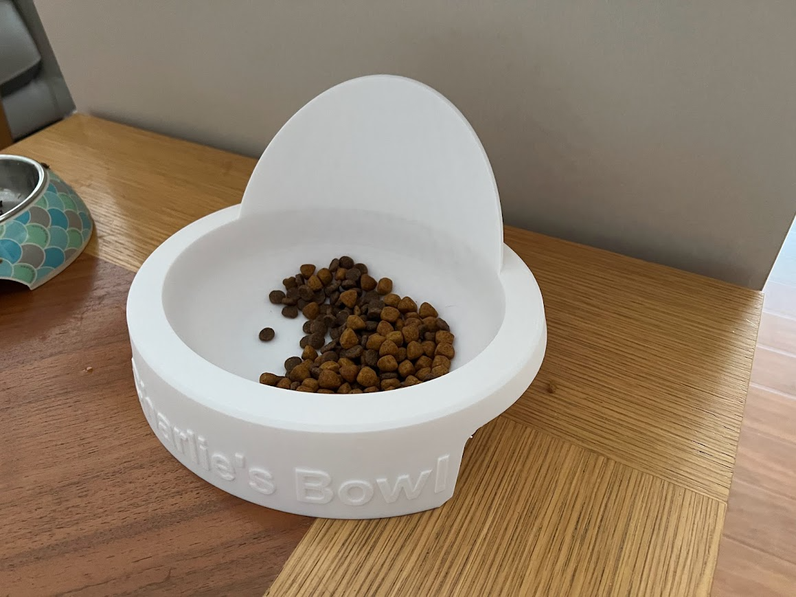 Cat Bowl - for messy cats