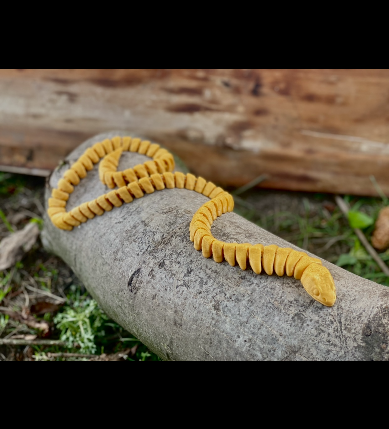 Flexi Cobra