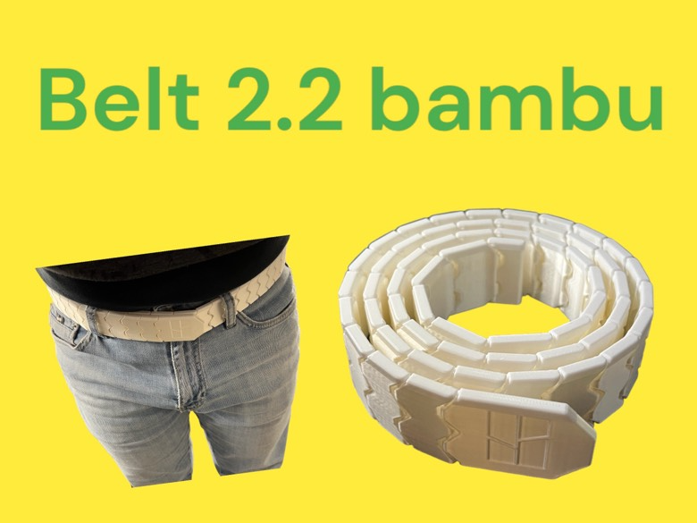 Belt 2.2 Bambu