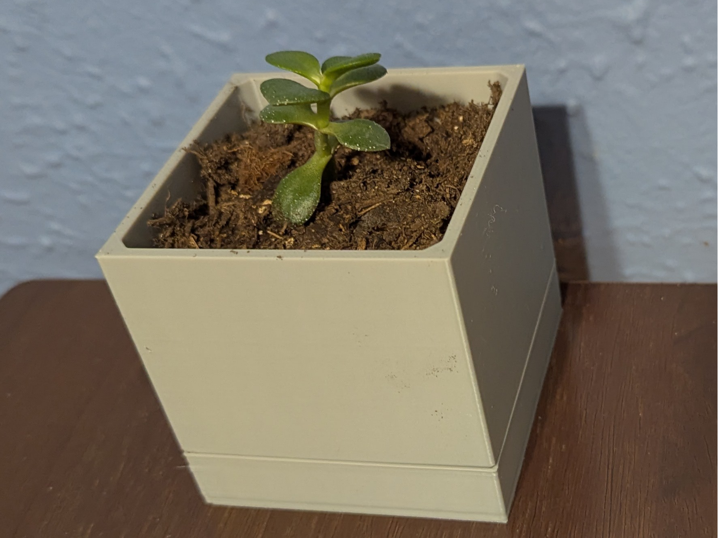 75 mm cubed Planter With Drip Tray