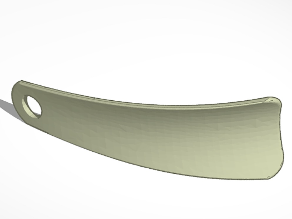Shoe horn
