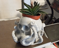 Octo Skull Mini Succulent Planter