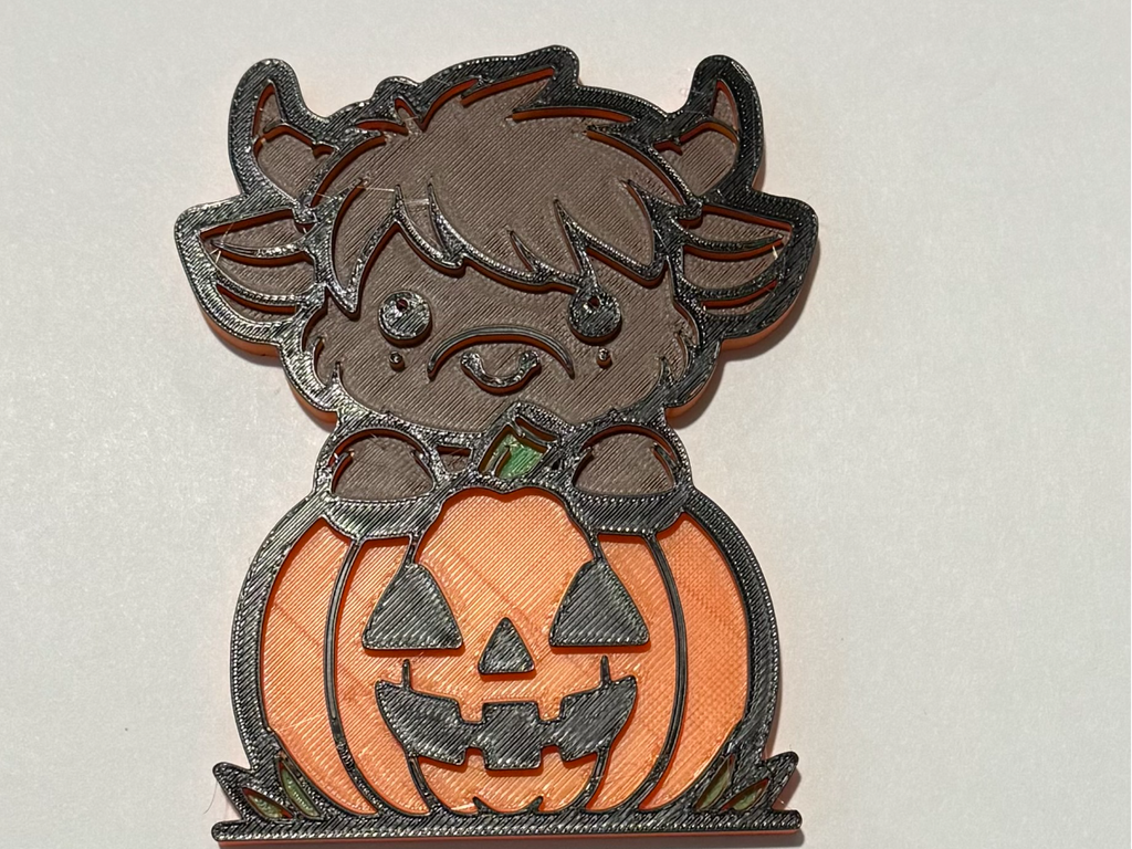 Baby Highland Cow in A Pumpkin