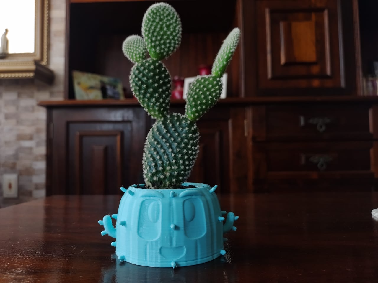 Cactus Flower Pot - funny and cute