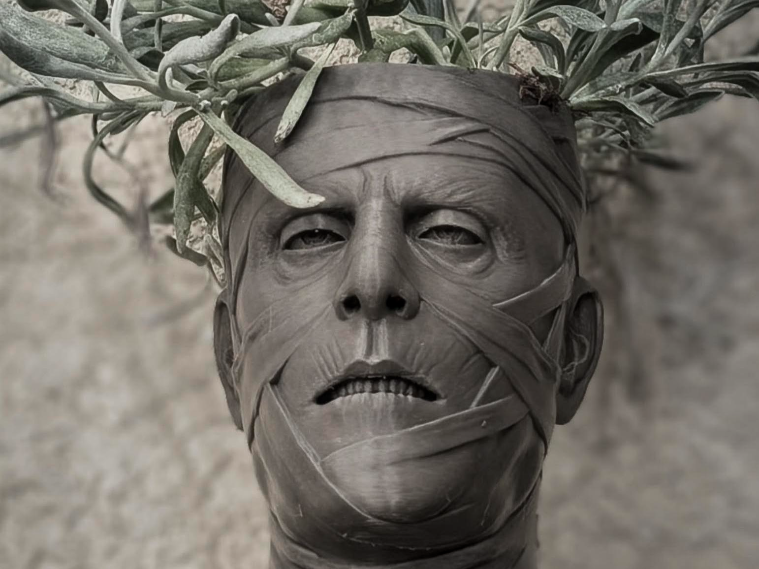 Mummy Planter