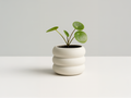 Planter