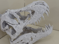 T-Rex Skull