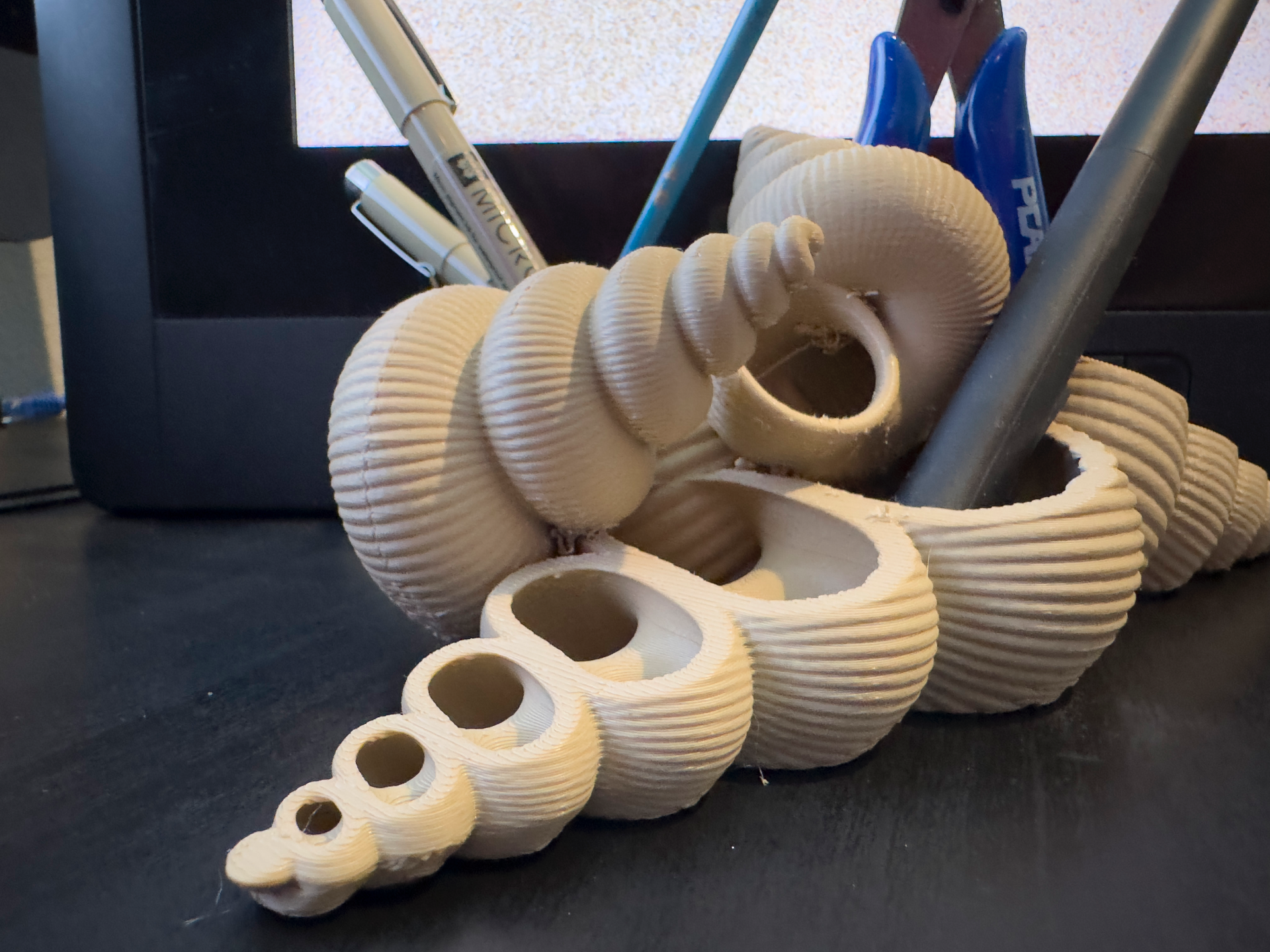 Seashell Organizer, pencil holder, stationary