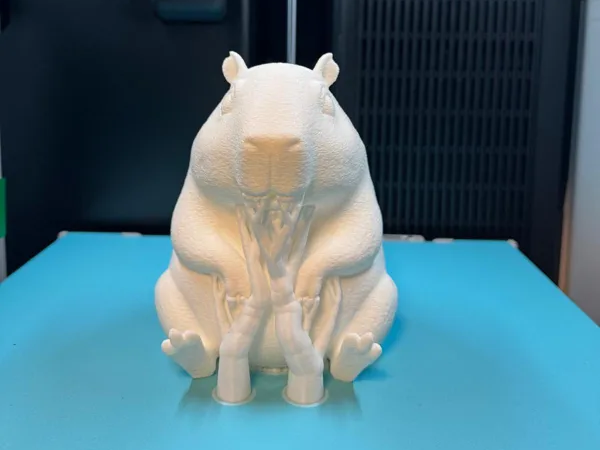 Capybara LED