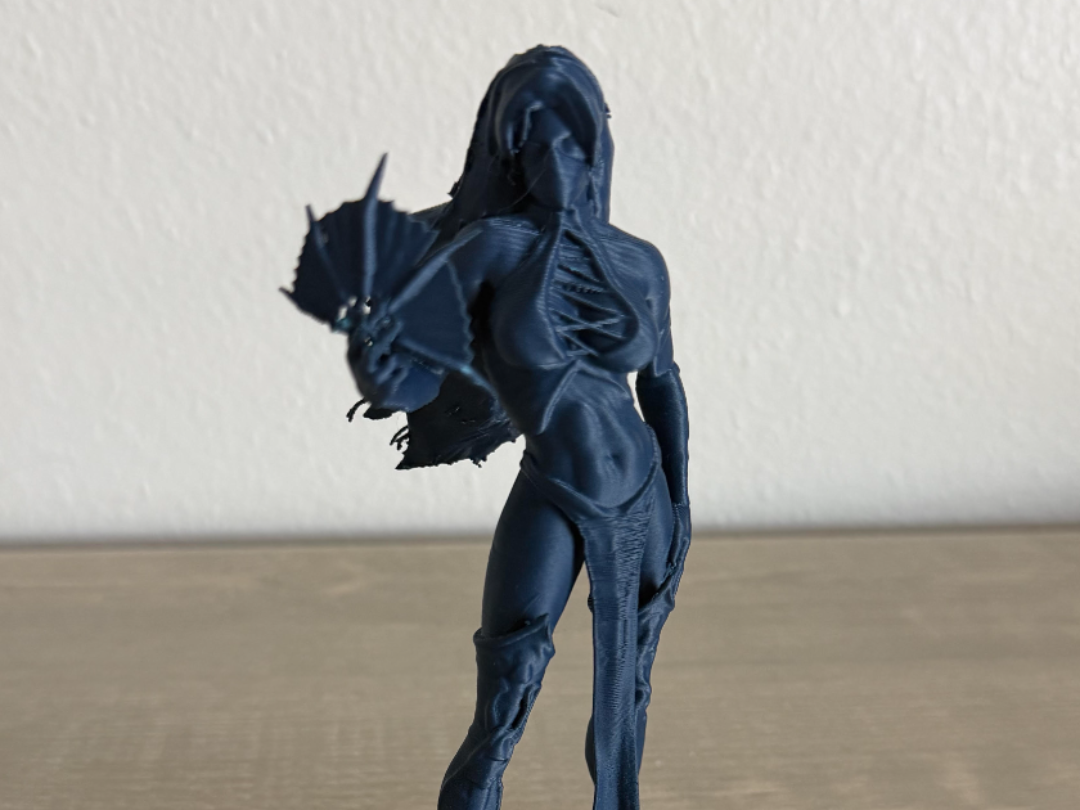 Blue Ninja Lady