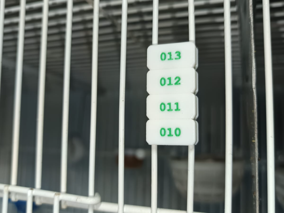Chapa de anilla de canarios de 011 al 020