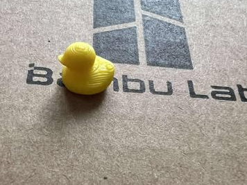 Tiny duck