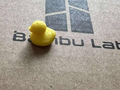 Tiny duck