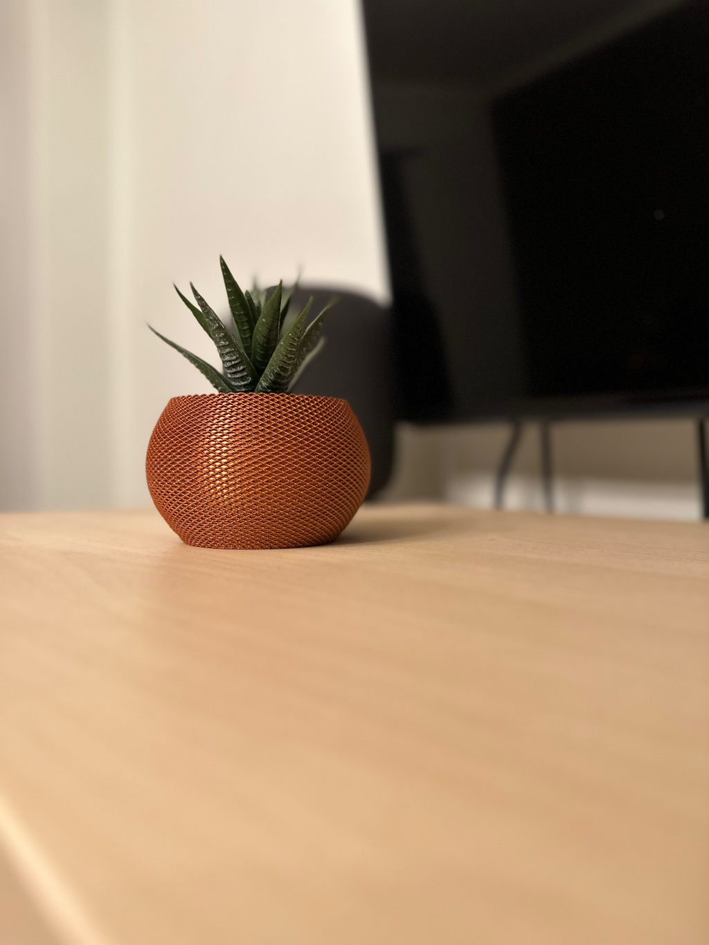 Vase for cactus