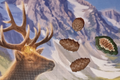 Cascadia Pinecone tokens