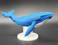 Blue Whale w/Stand AMS