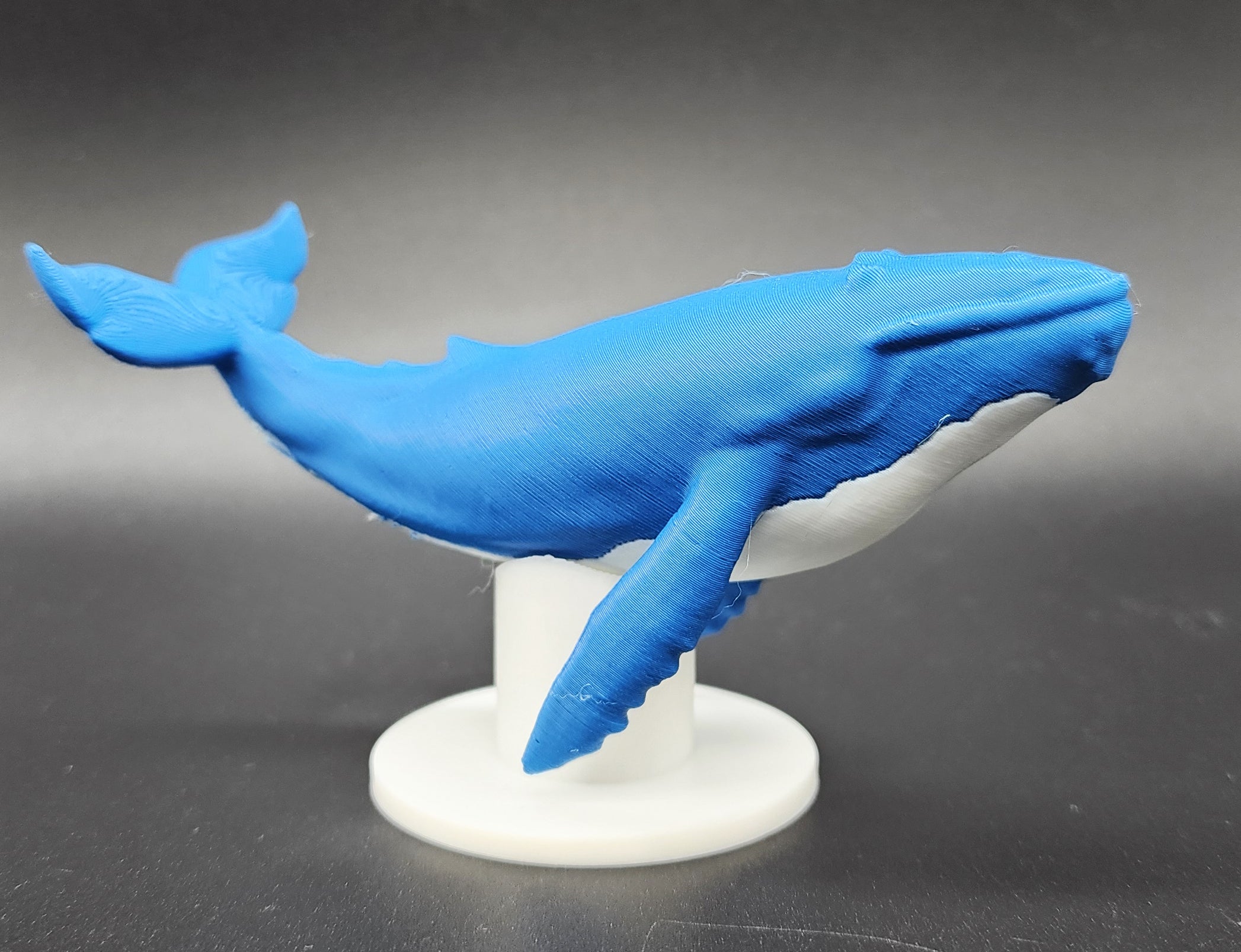 Blue Whale w/Stand AMS