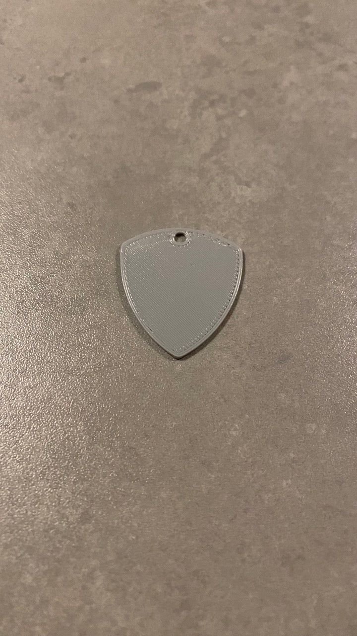 Travel Guitar Plectrum (pick)