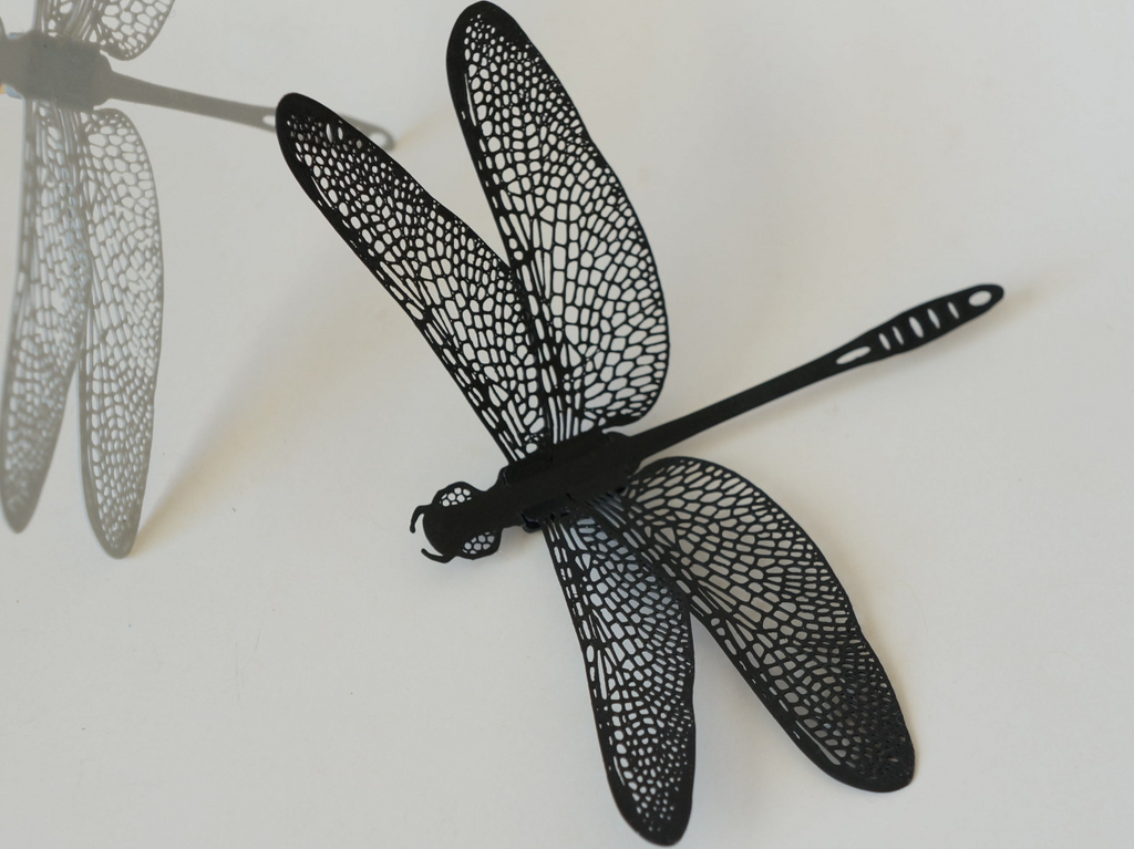 Dragonfly